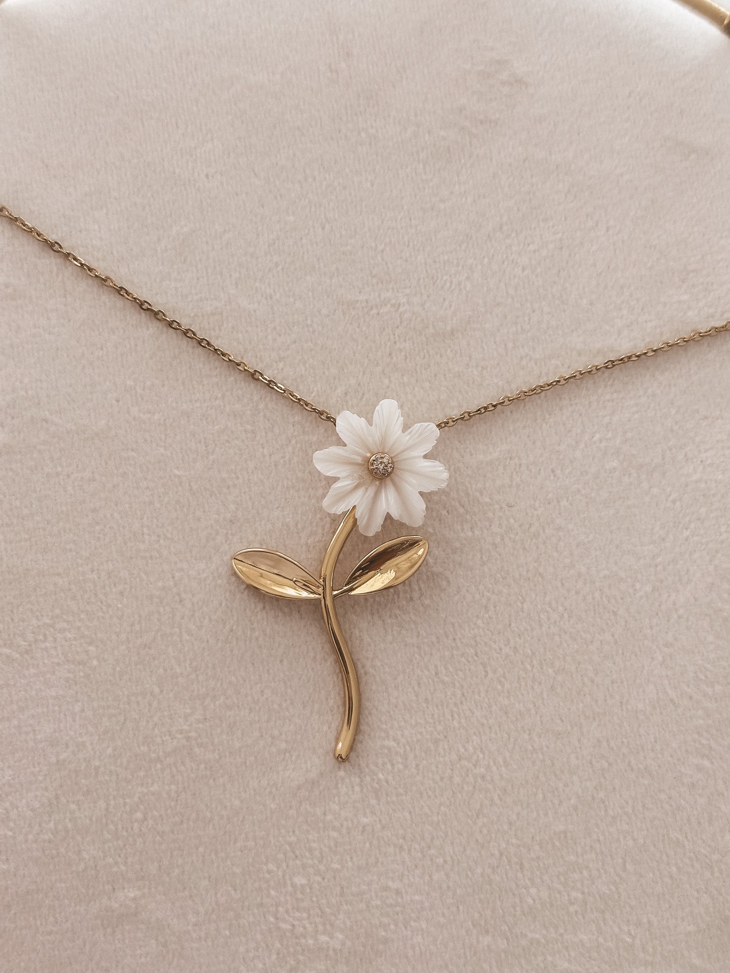 Flora