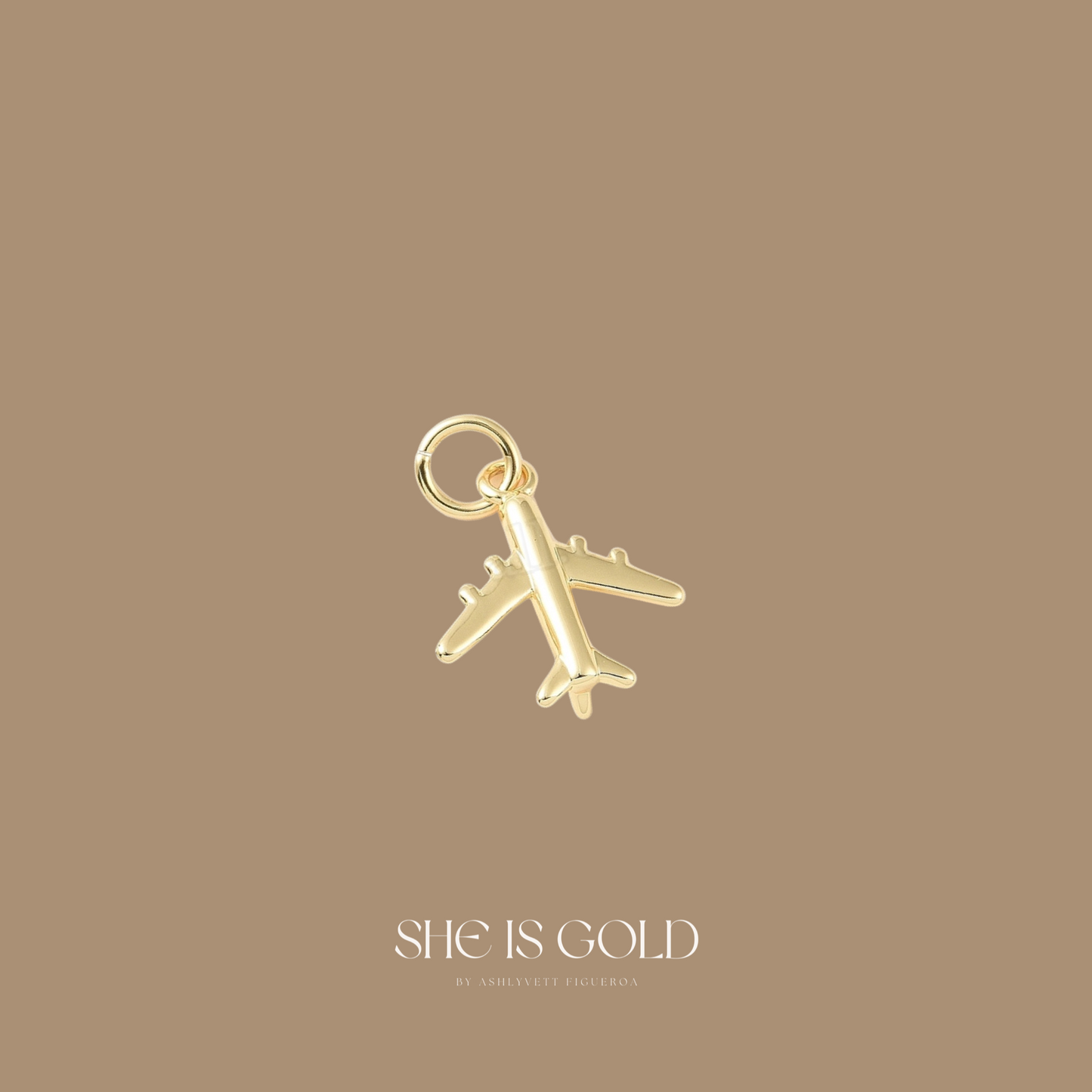 Plane Mini Charm