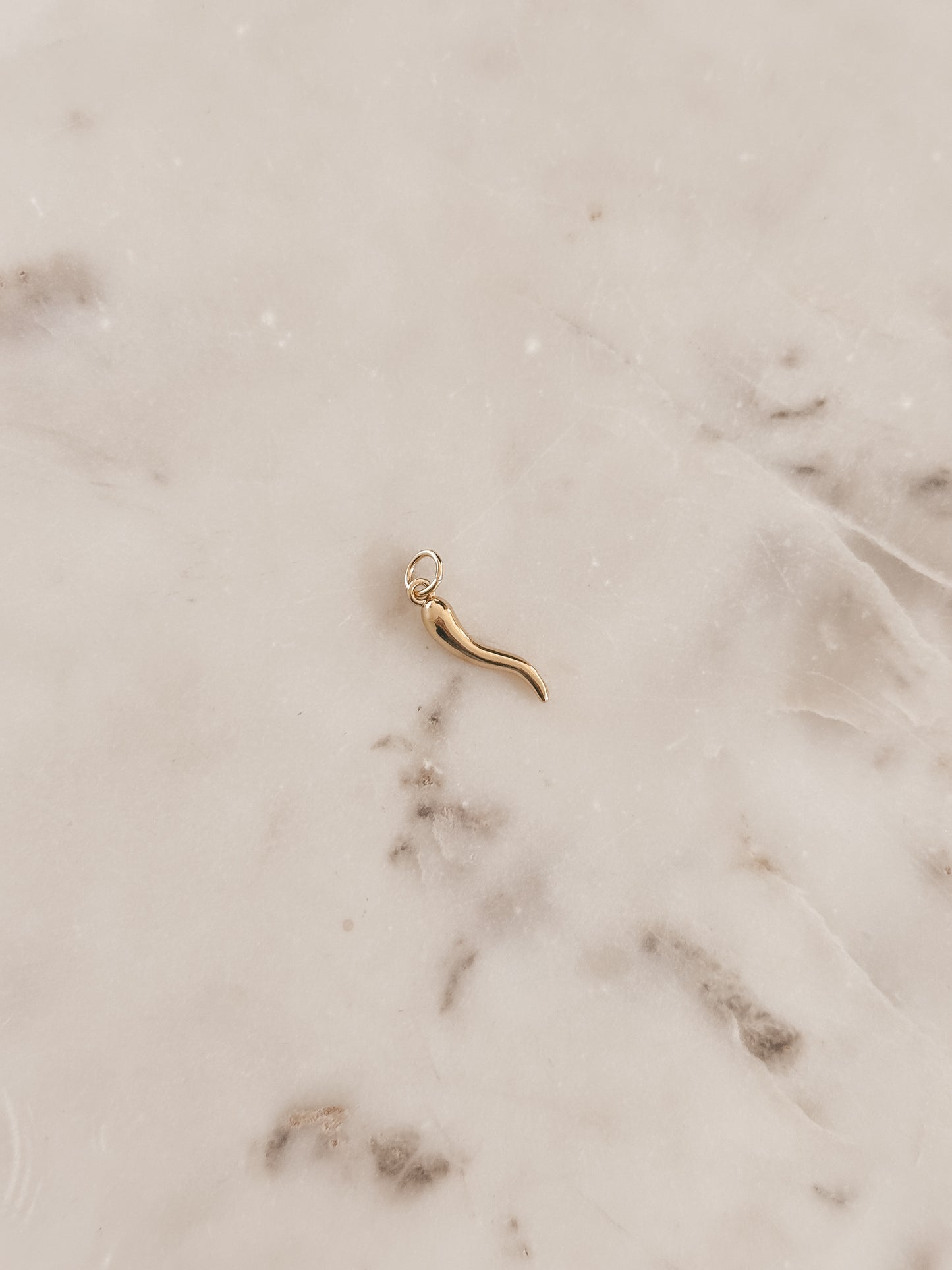 Mini Chili Charm