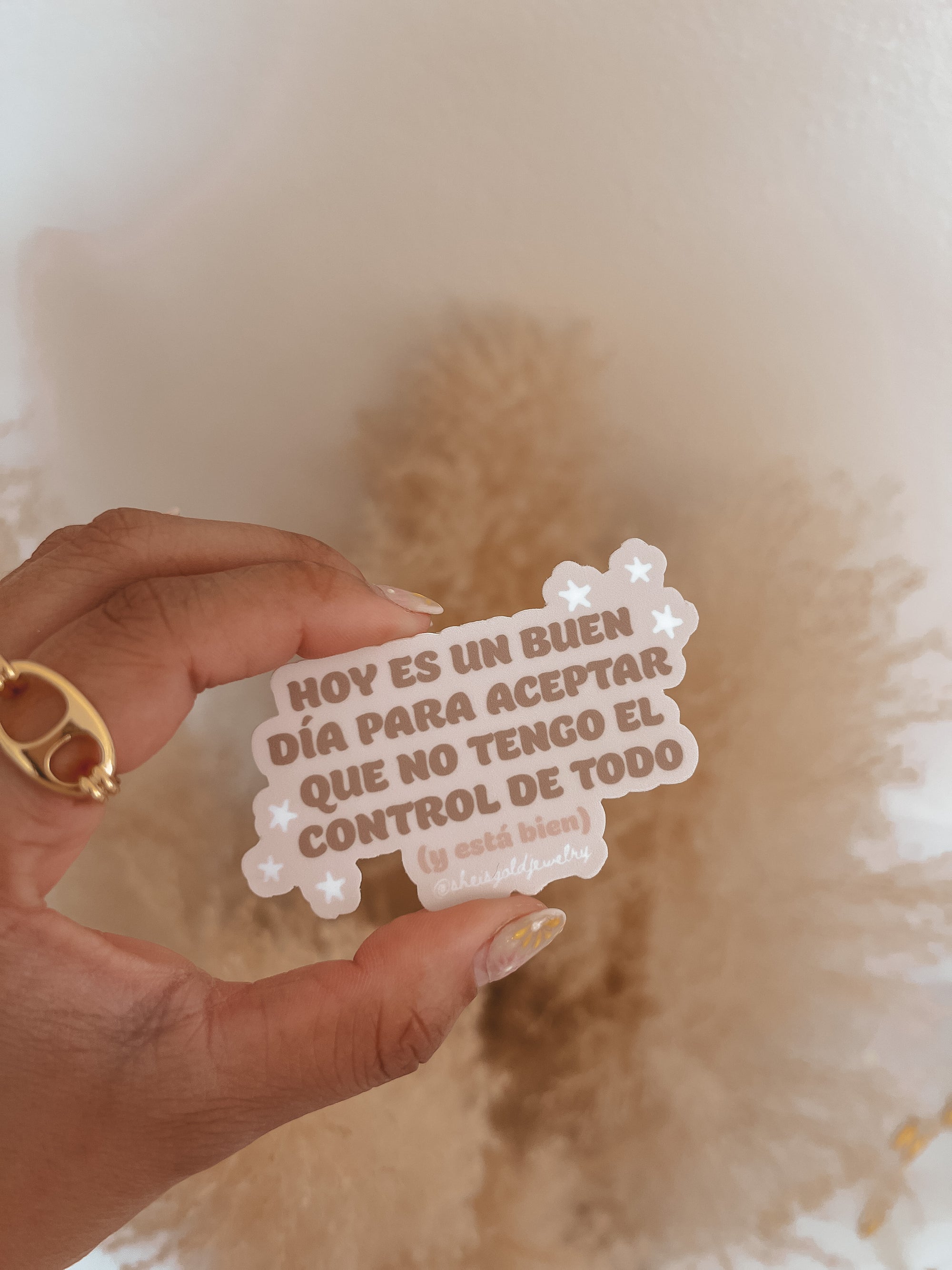 Hoy es un buen dia - Sticker