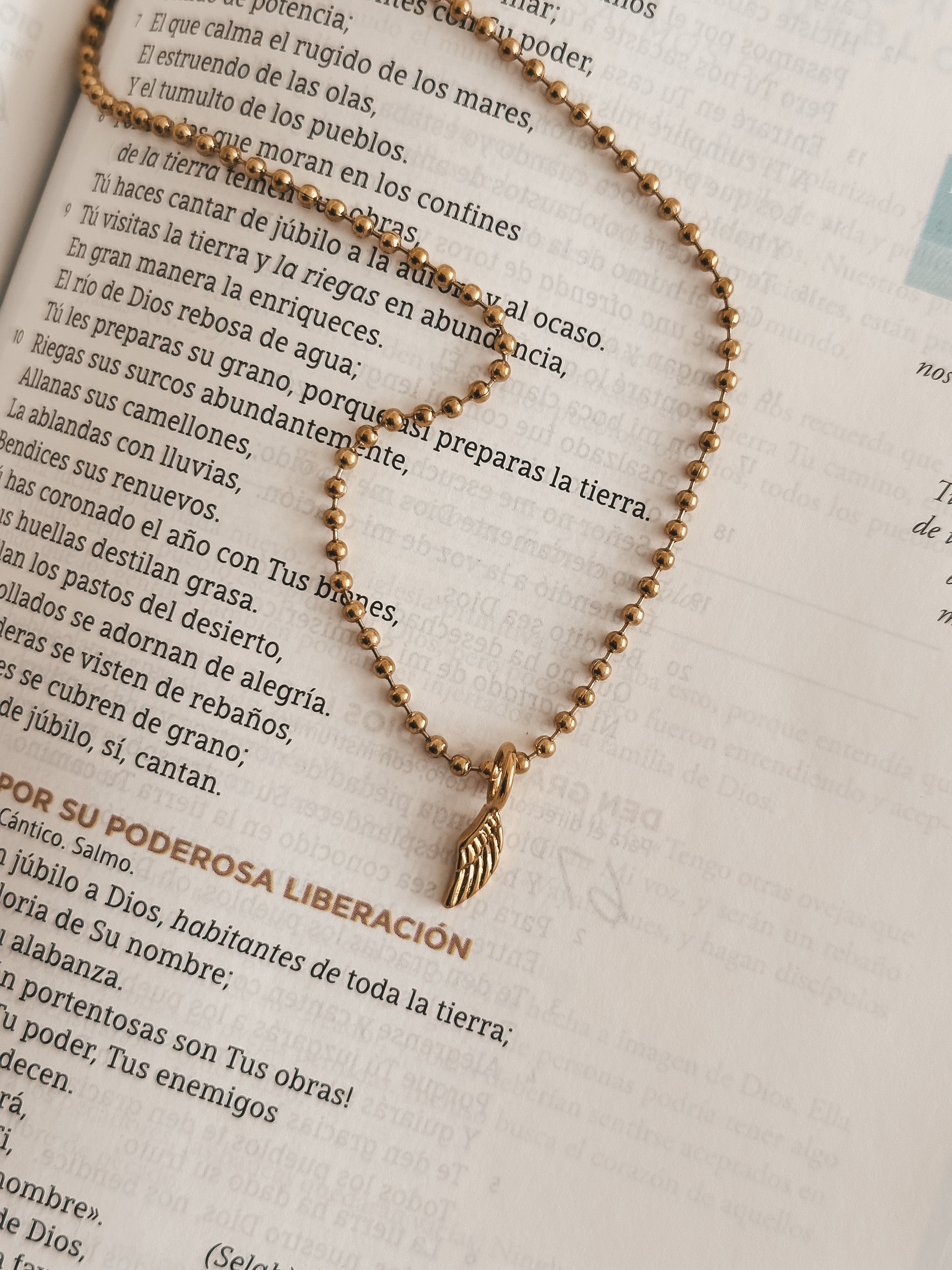 Ángel Wing Necklace