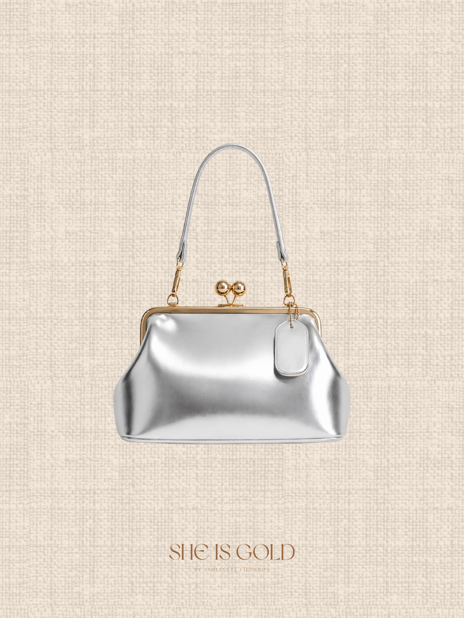 Crescent Silver Bag - Small