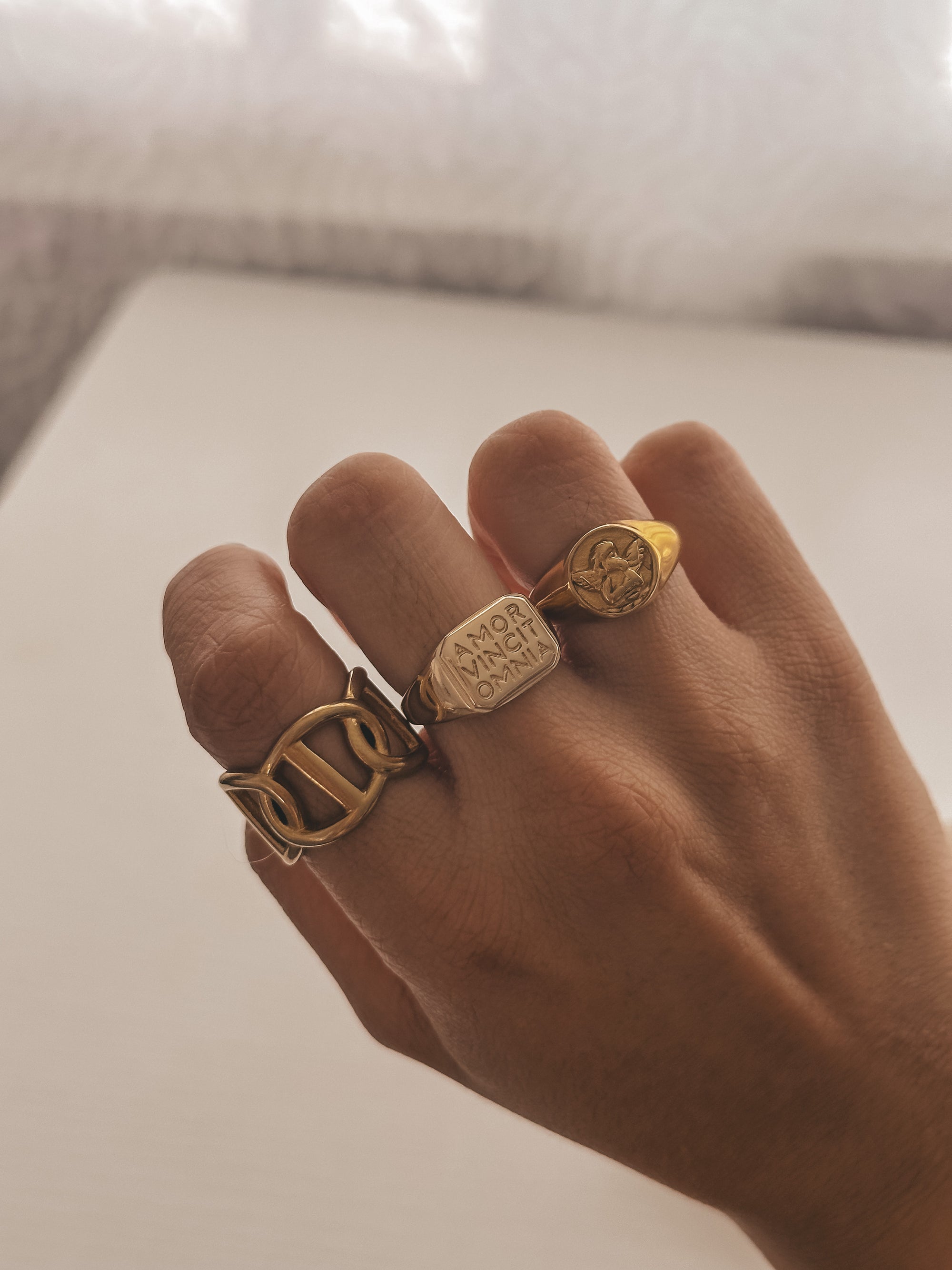 Amor, Vincit, Omnia Ring