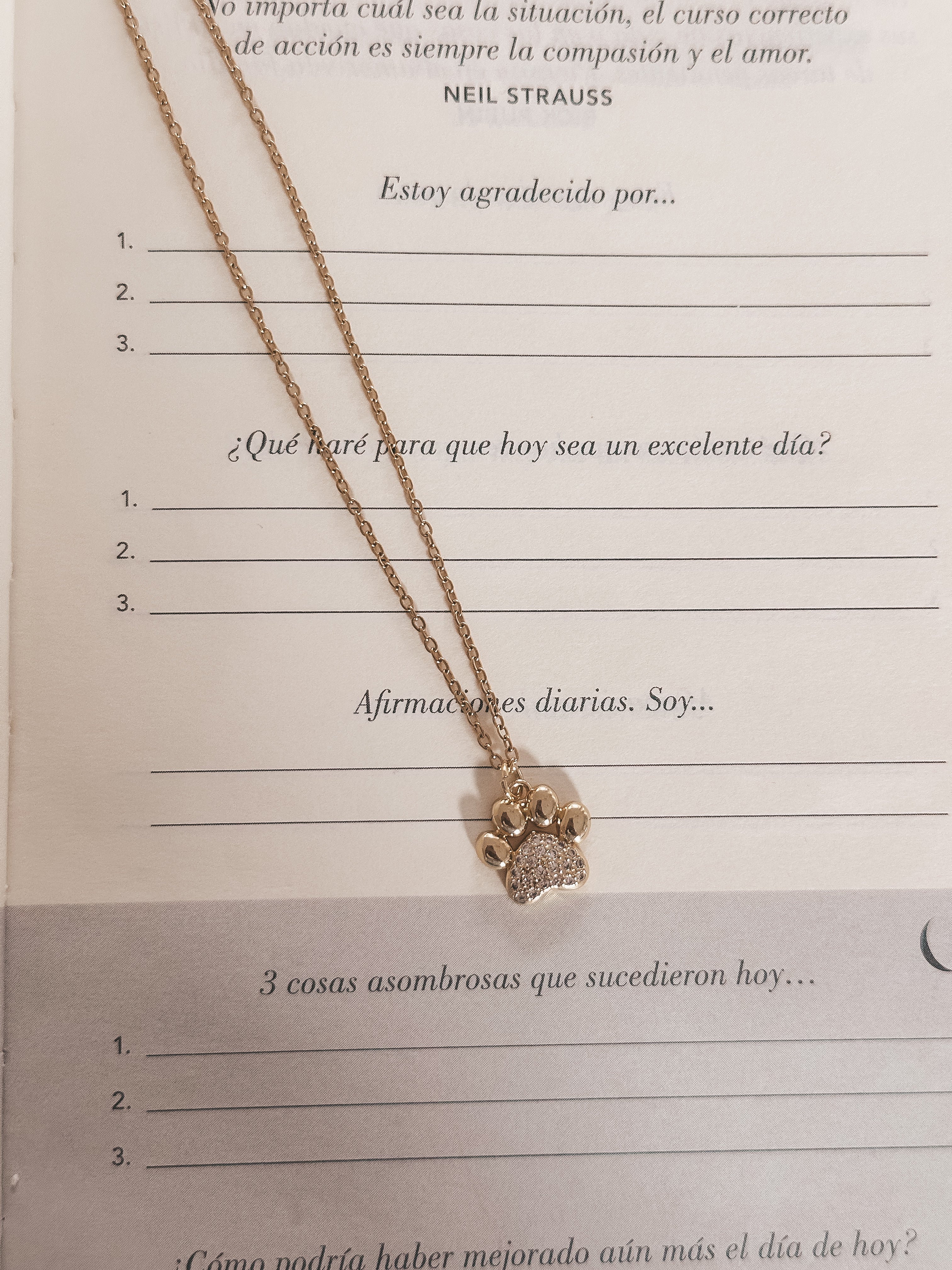 Dainty Paw Necklace