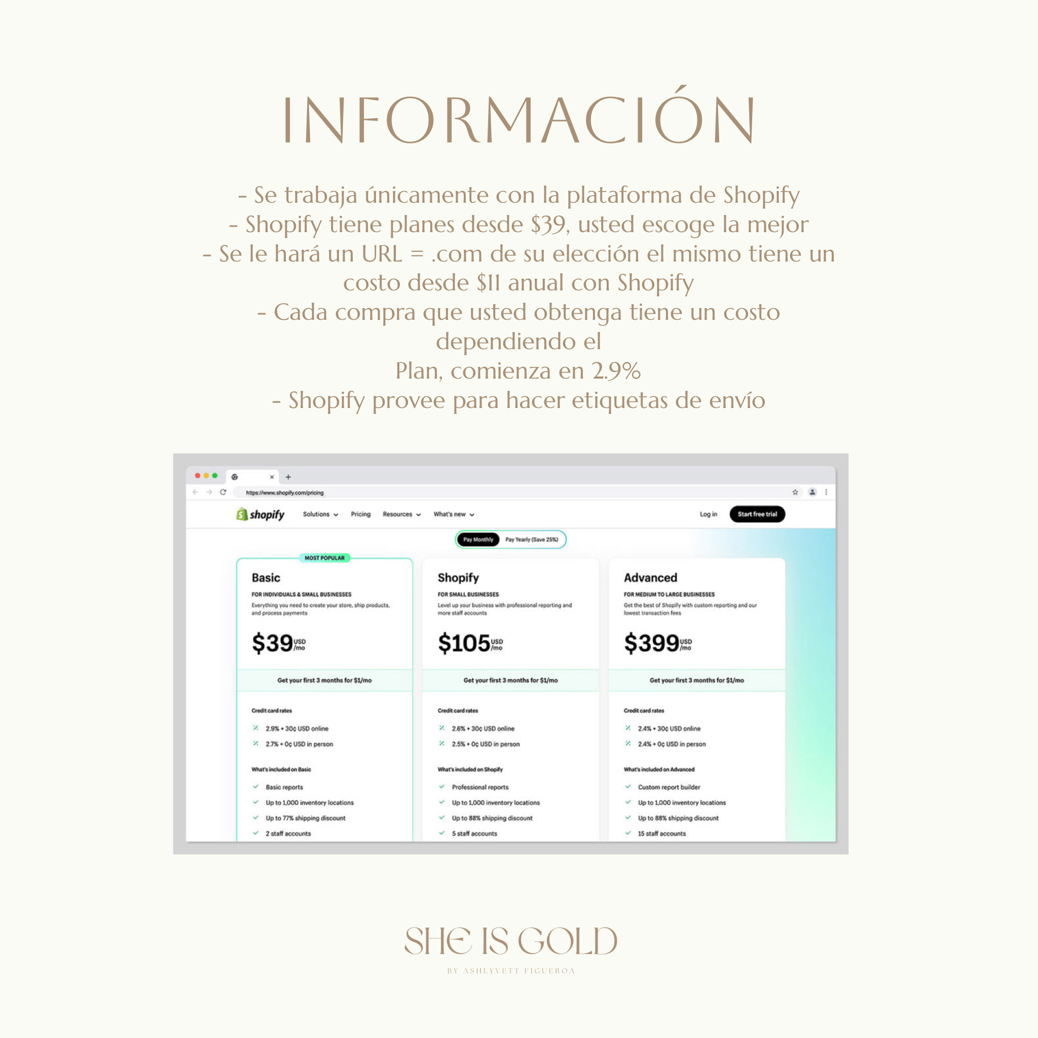 Diseño de página web
