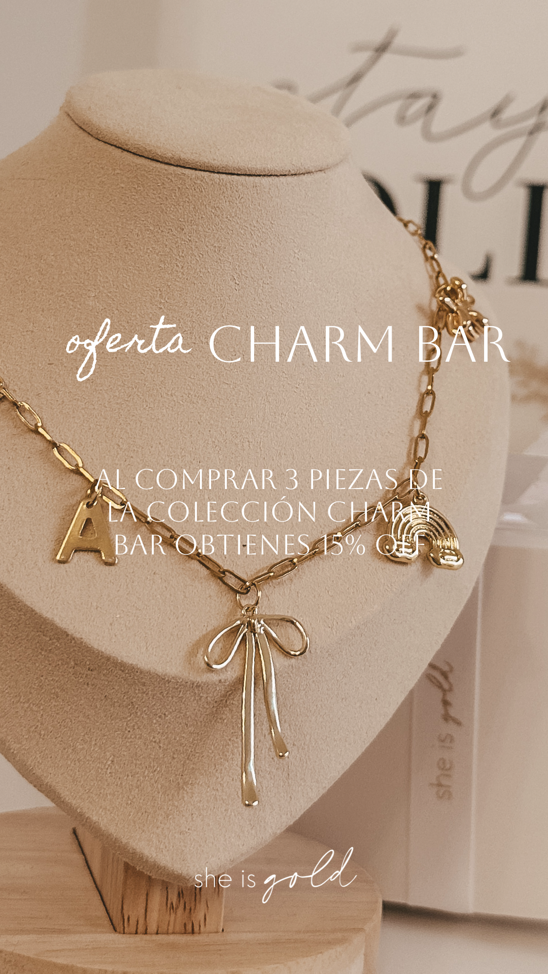 Collar con clip - Barra de dijes