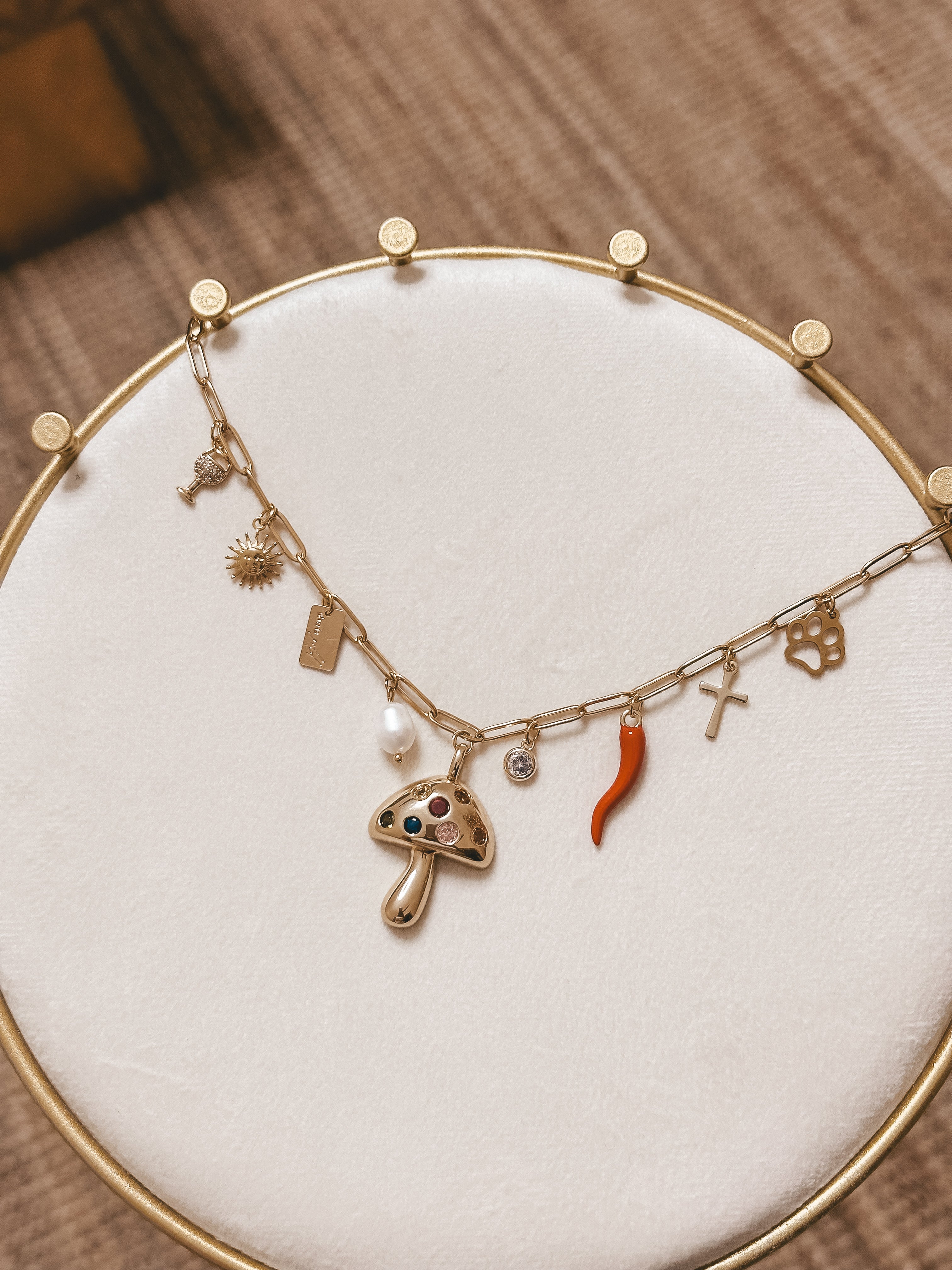 Collar con clip - Barra de dijes