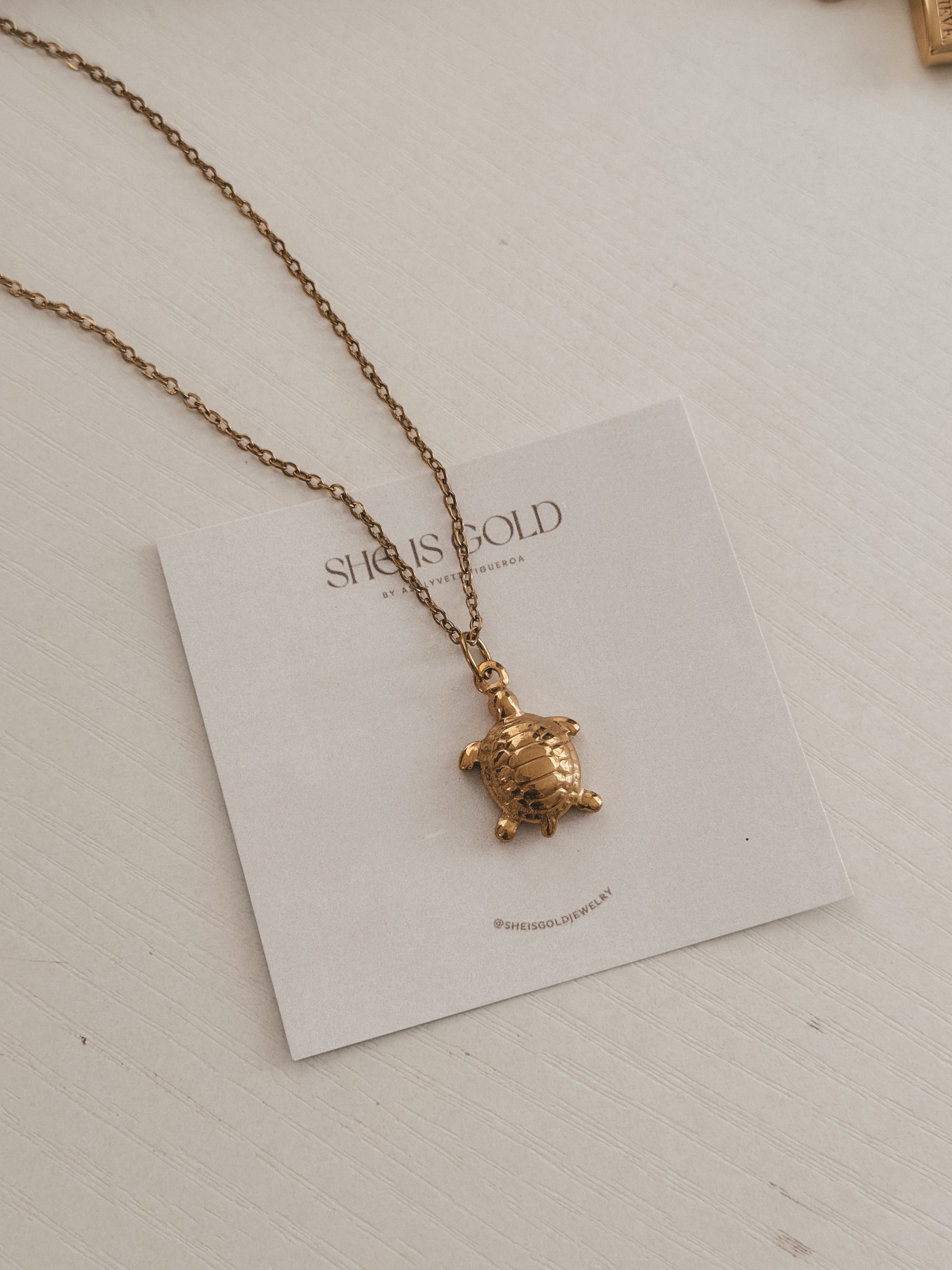 Tortuga Necklace