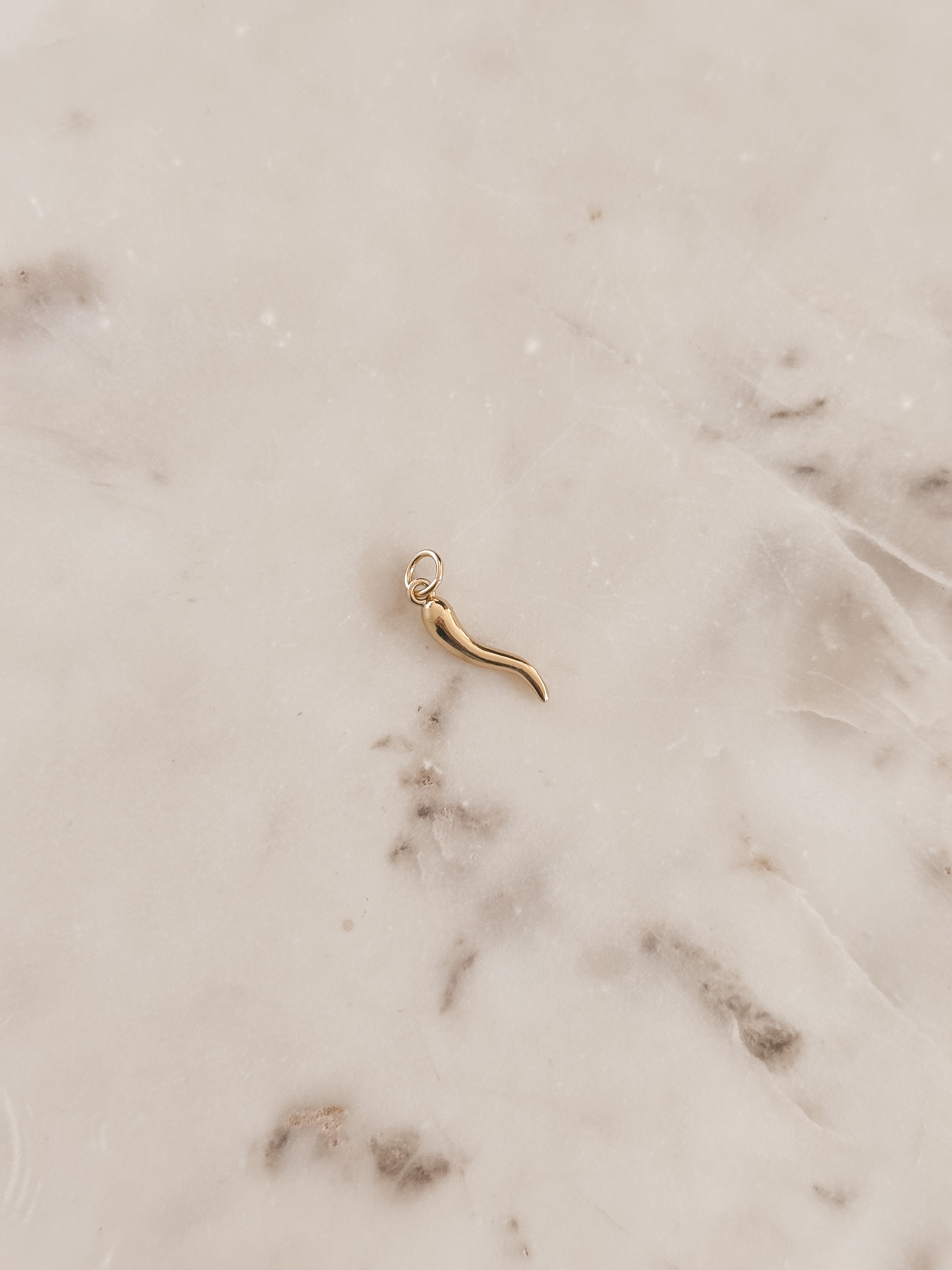 Mini Chili Charm