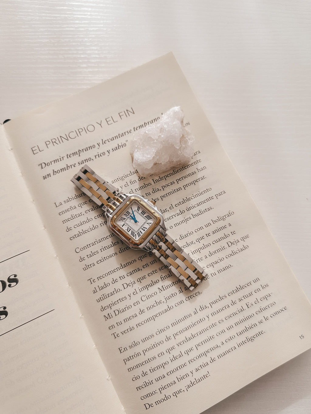 Classy Watch Two Tone