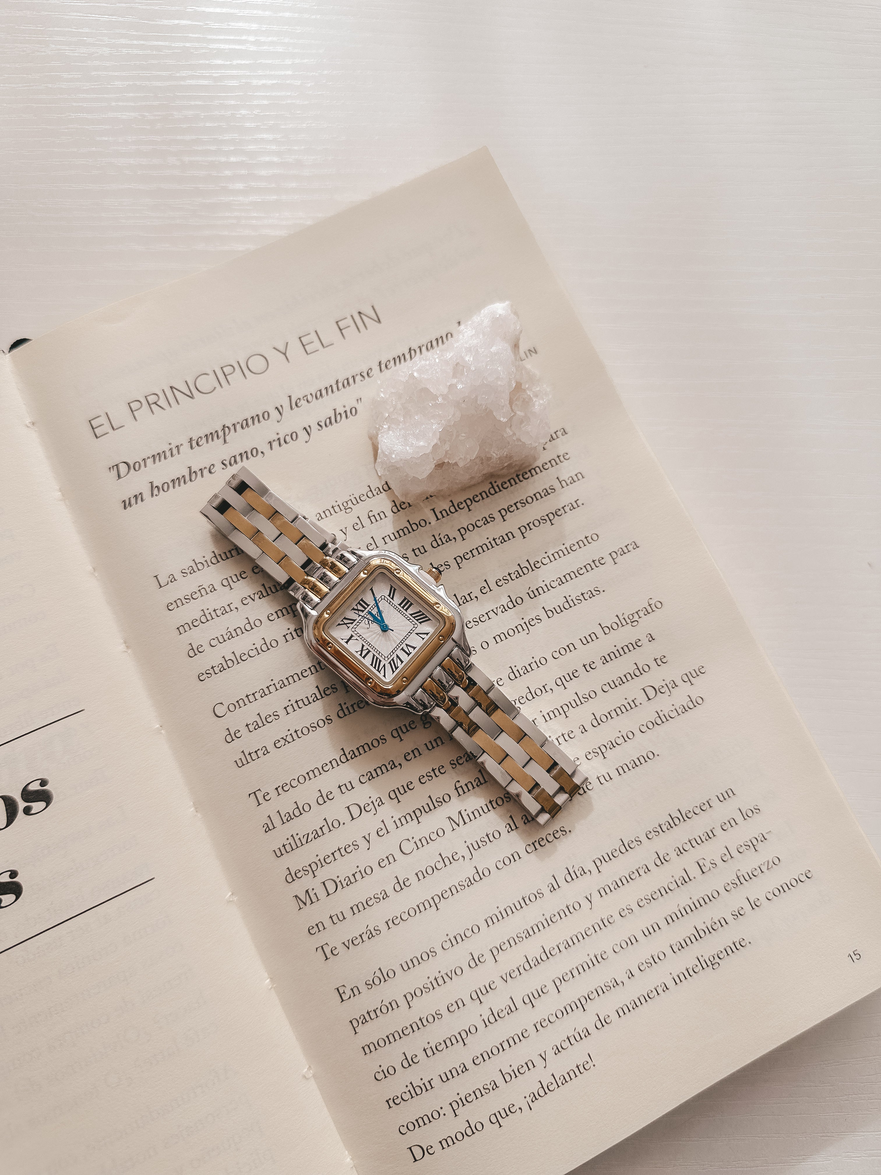 Classy Watch Two Tone