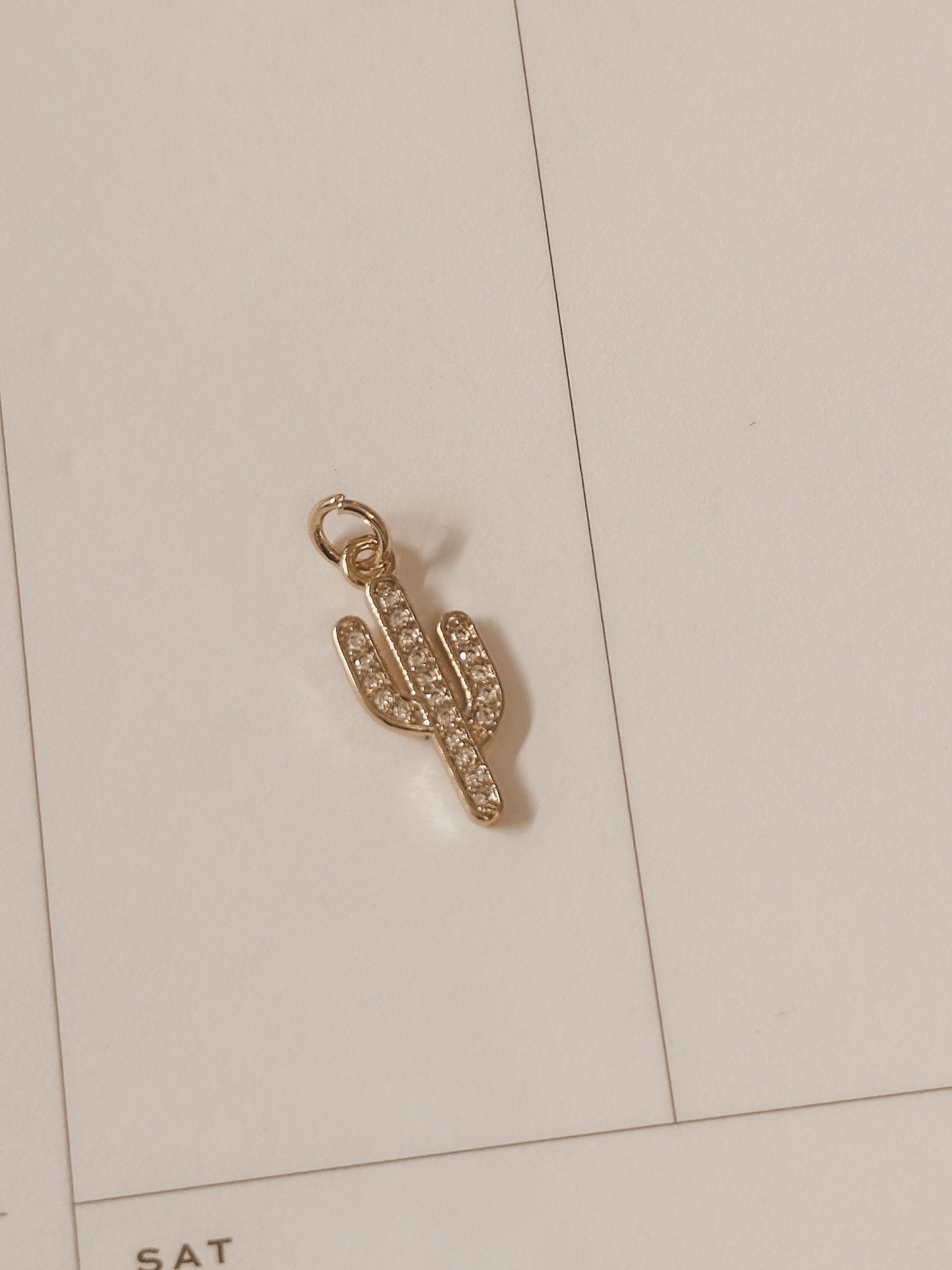 Cactus Charm