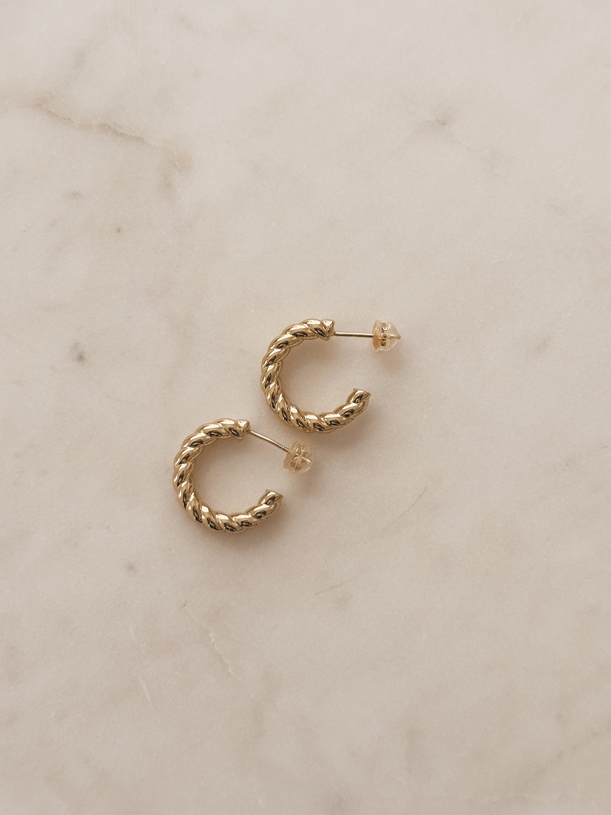 Taylor Mini Hoops
