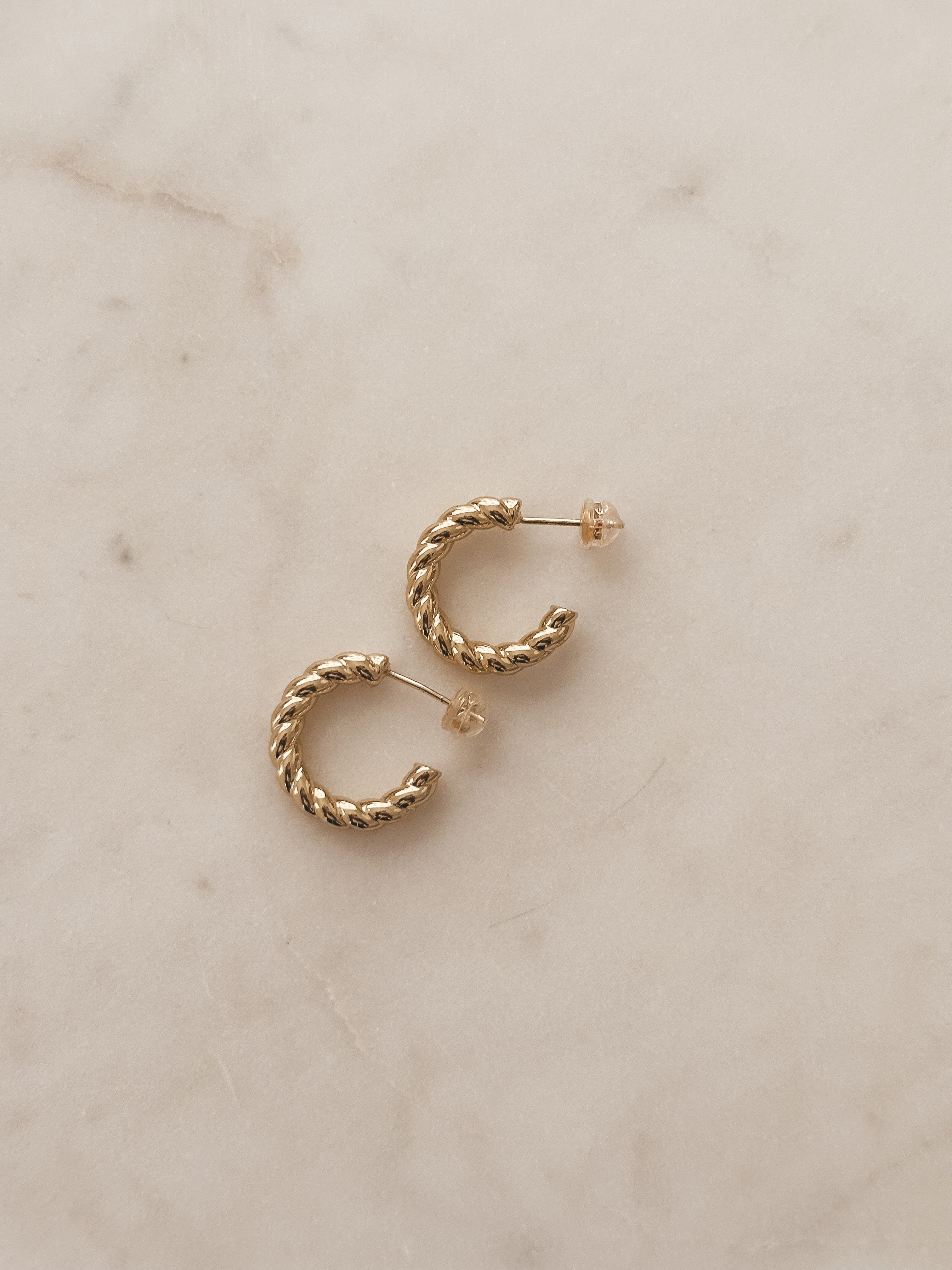 Taylor Mini Hoops
