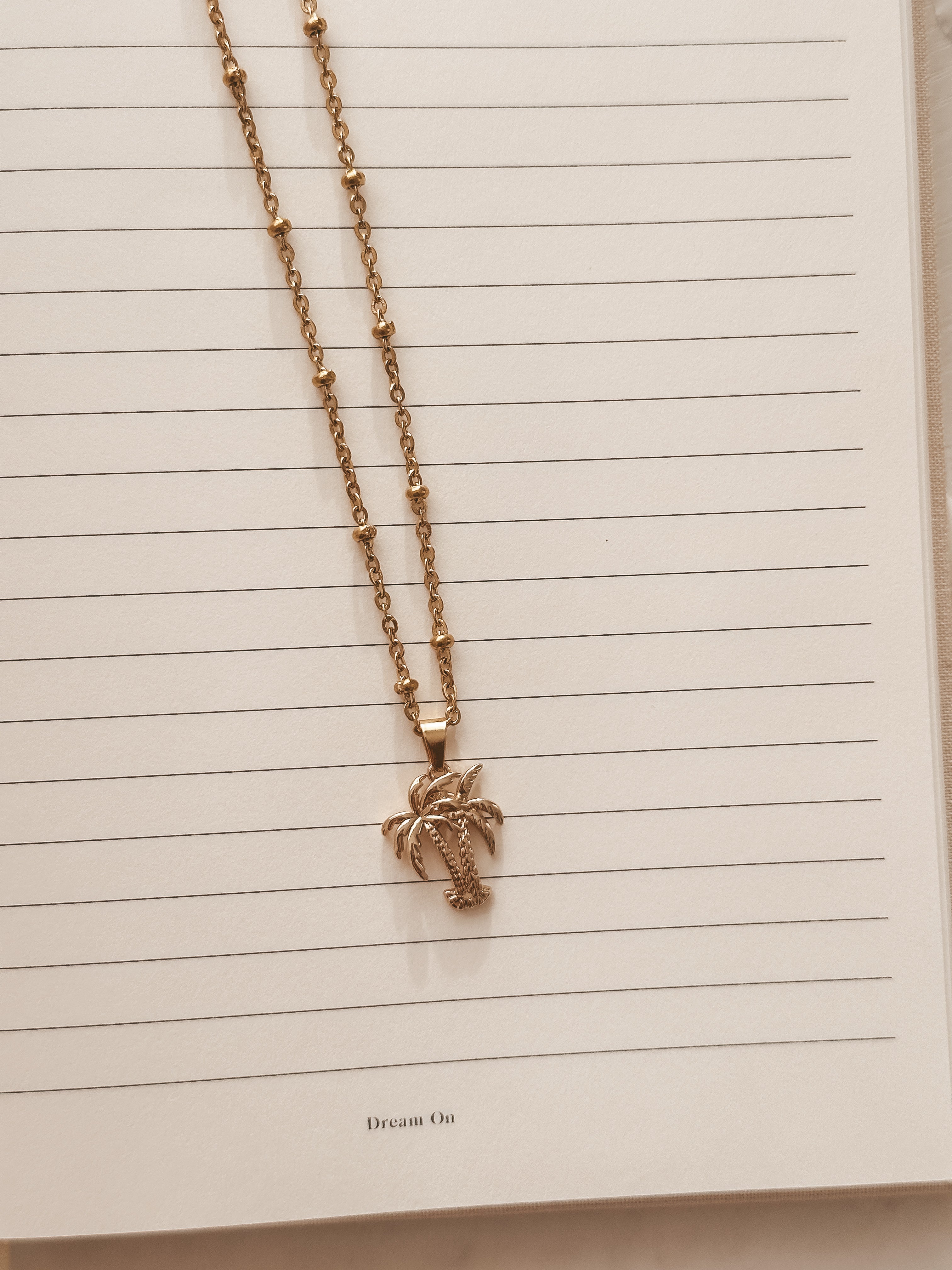 Palmera