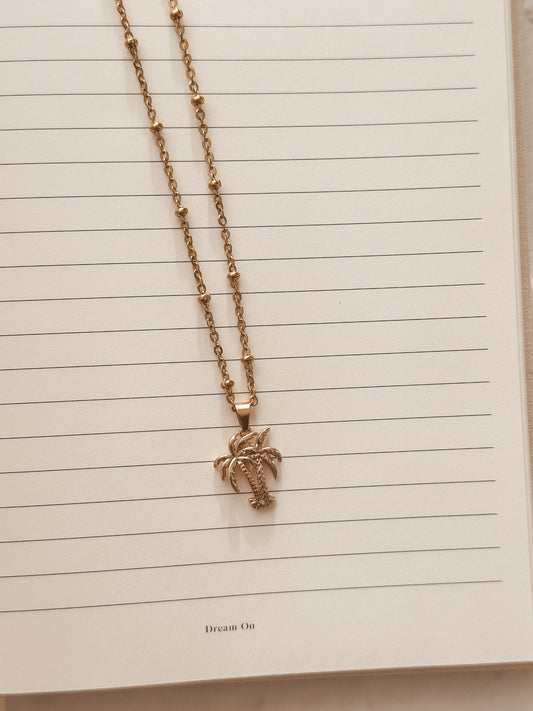 Palmera