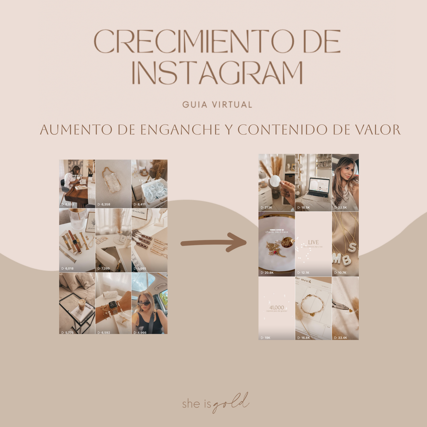Crecimiento de Instagram - Guía