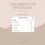 Crecimiento de Instagram - Guía