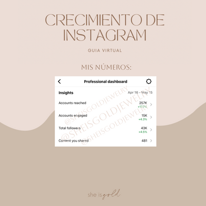 Crecimiento de Instagram - Guía