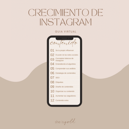 Crecimiento de Instagram - Guía