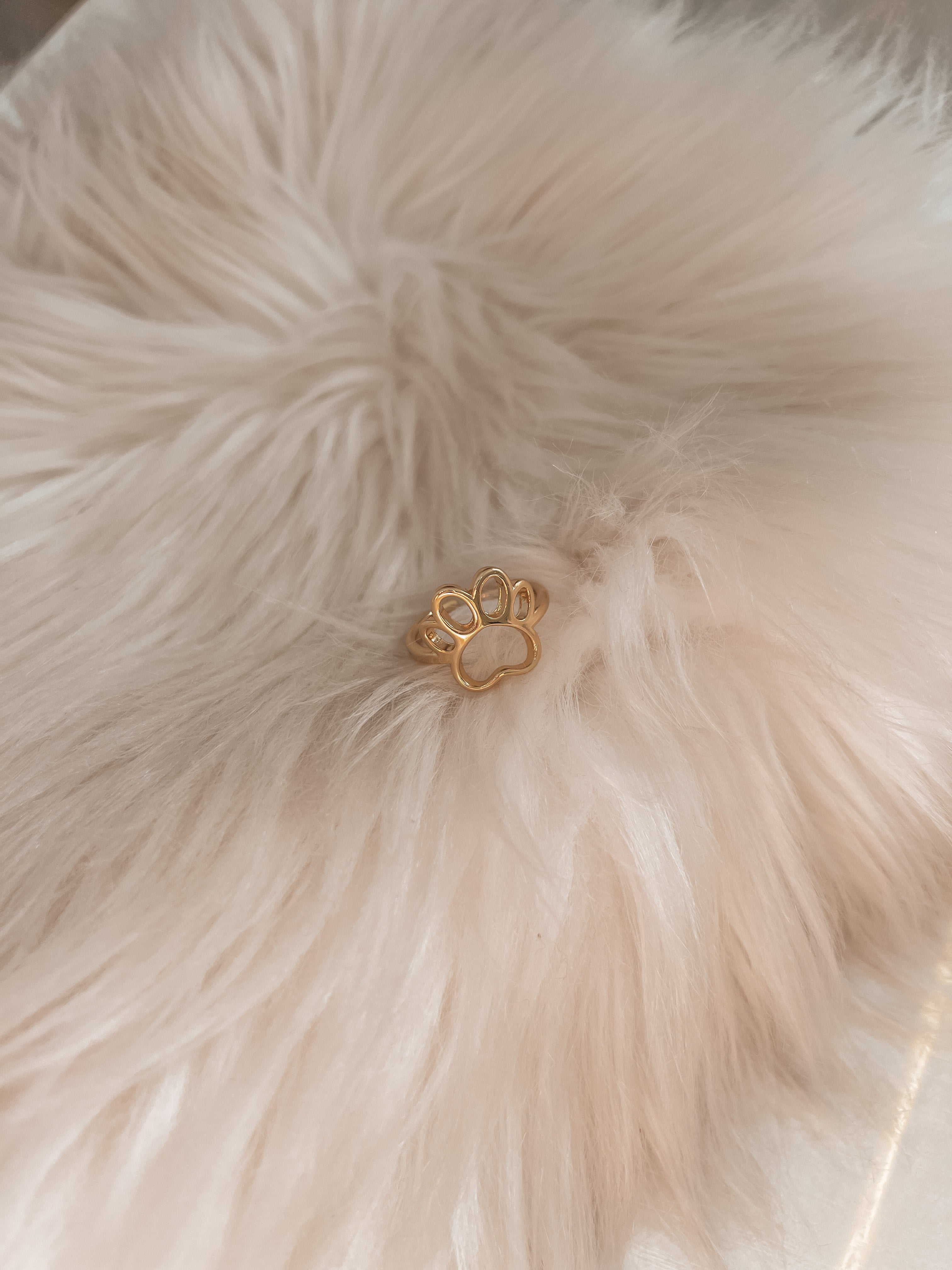 Anillo Pata Stella