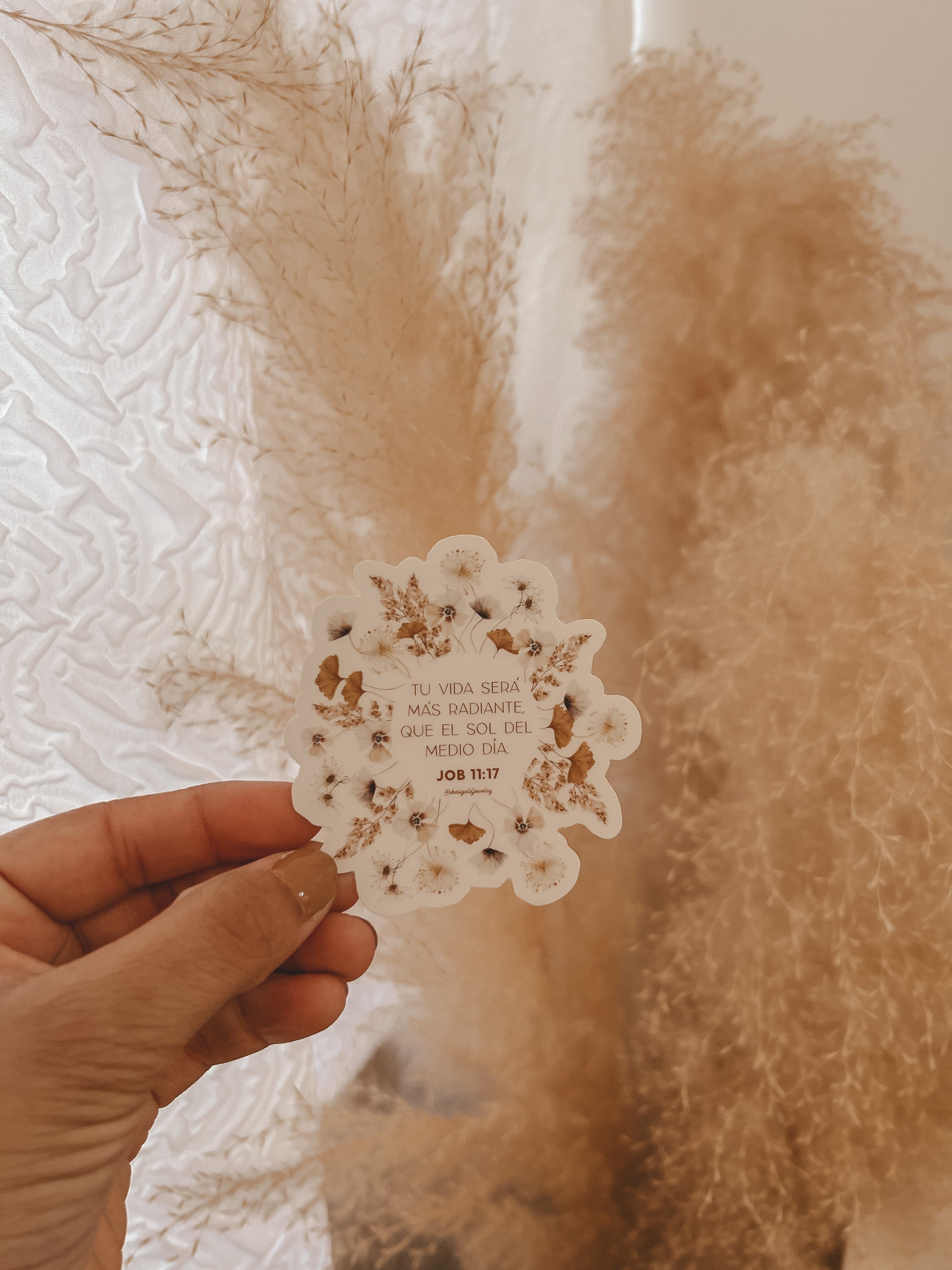 Job 11:17 - Boho Clear Sticker